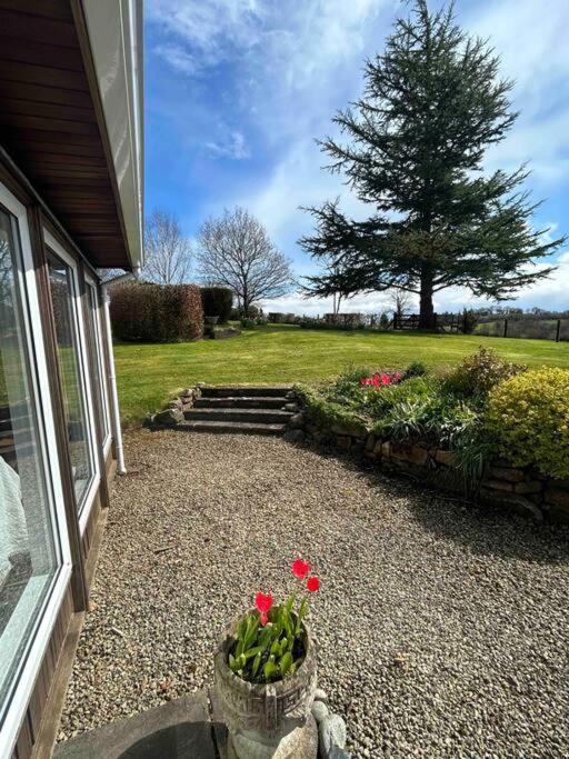 Wooden Cottage With Lake View Enniskillen Exterior photo